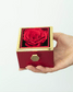 Trandafir Etern SKYMAP™ cu Lantisor Gravat cu Numele Voastre